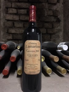 Lamartine Expression 2011