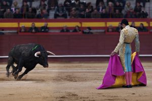 Bullfighter in a bullring
